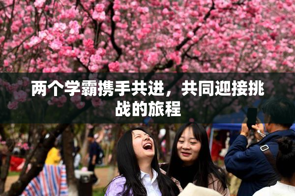 两个学霸携手共进，共同迎接挑战的旅程