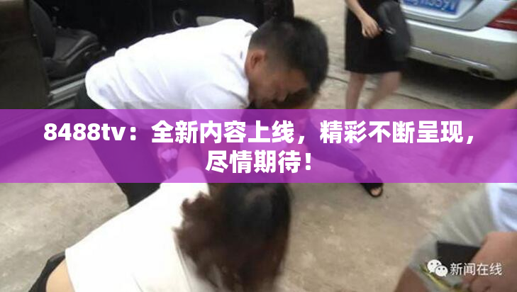 8488tv：全新内容上线，精彩不断呈现，尽情期待！
