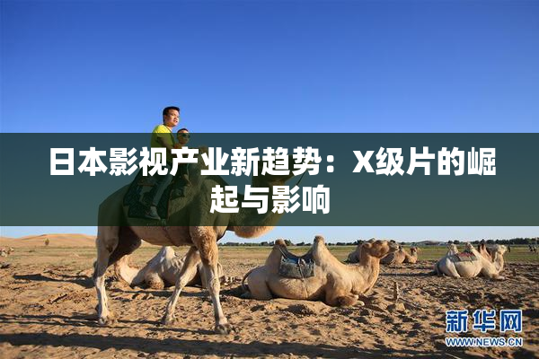 日本影视产业新趋势：X级片的崛起与影响