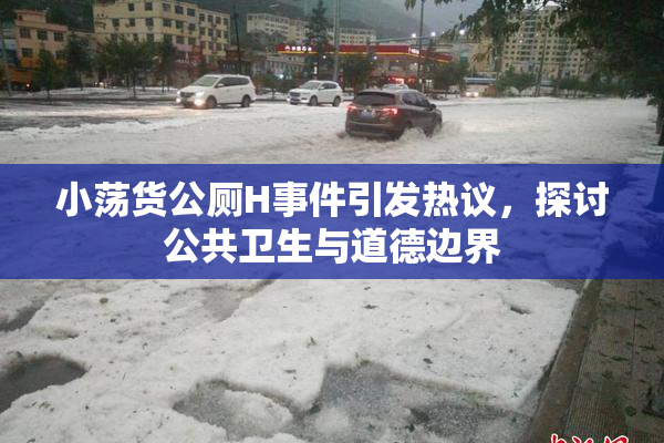 小荡货公厕H事件引发热议，探讨公共卫生与道德边界