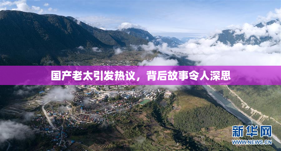 国产老太引发热议，背后故事令人深思