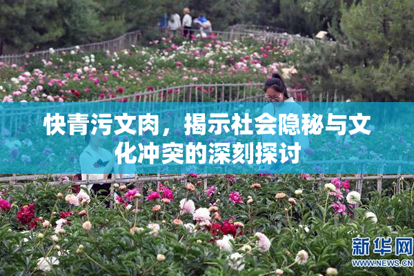 快青污文肉，揭示社会隐秘与文化冲突的深刻探讨
