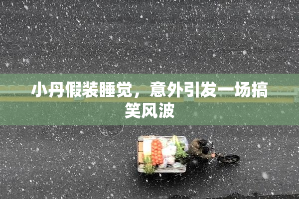 小丹假装睡觉，意外引发一场搞笑风波