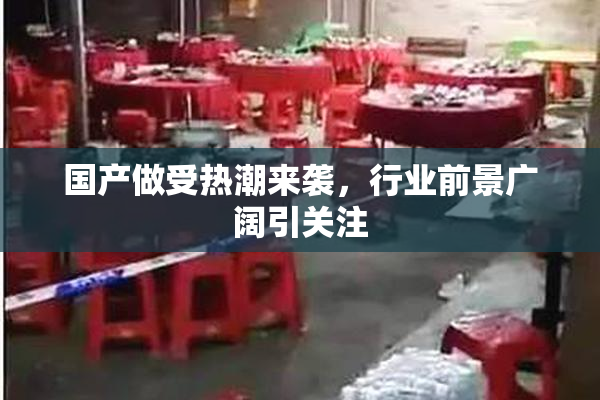 国产做受热潮来袭，行业前景广阔引关注