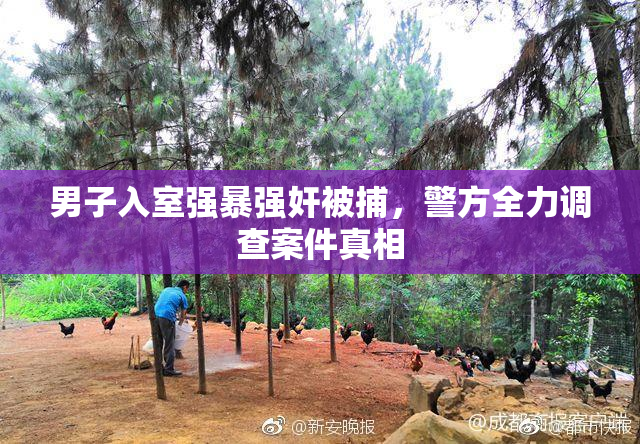 男子入室强暴强奸被捕，警方全力调查案件真相