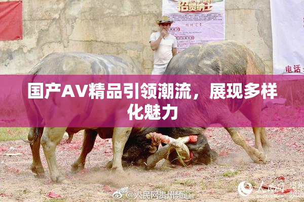 国产AV精品引领潮流，展现多样化魅力