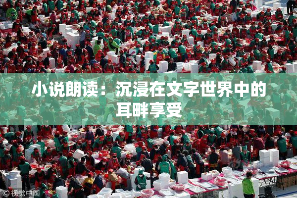 小说朗读：沉浸在文字世界中的耳畔享受
