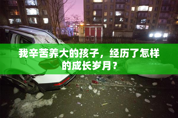 我辛苦养大的孩子，经历了怎样的成长岁月？