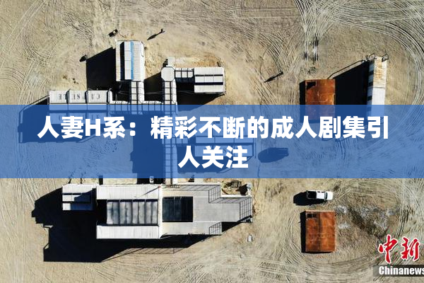 人妻H系：精彩不断的成人剧集引人关注