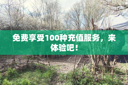免费享受100种充值服务，来体验吧！