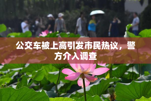 公交车被上高引发市民热议，警方介入调查