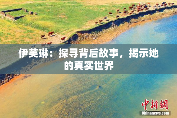 伊芙琳：探寻背后故事，揭示她的真实世界