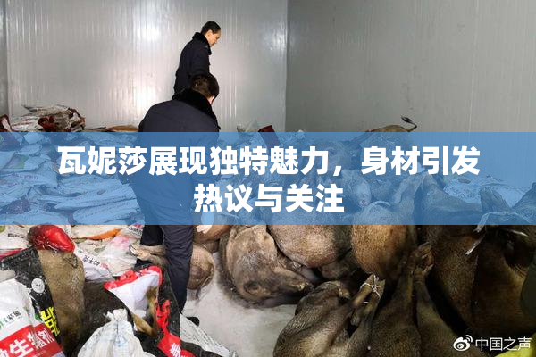 瓦妮莎展现独特魅力，身材引发热议与关注
