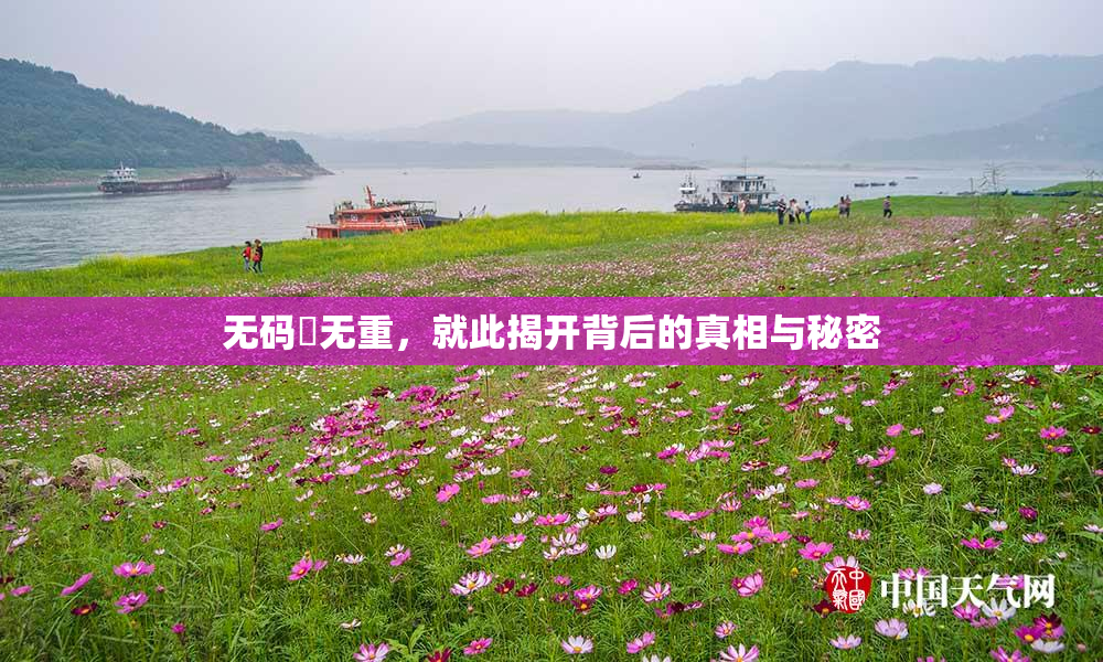 无码囯无重，就此揭开背后的真相与秘密