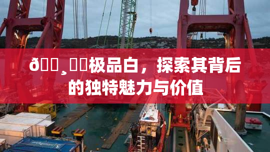🌸‌✿极品白，探索其背后的独特魅力与价值