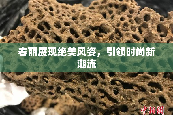 春丽展现绝美风姿，引领时尚新潮流