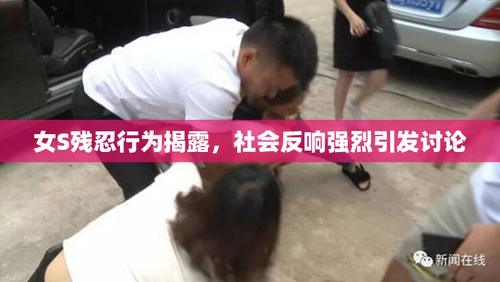女S残忍行为揭露，社会反响强烈引发讨论