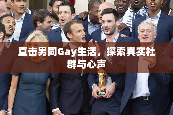 直击男同Gay生活，探索真实社群与心声
