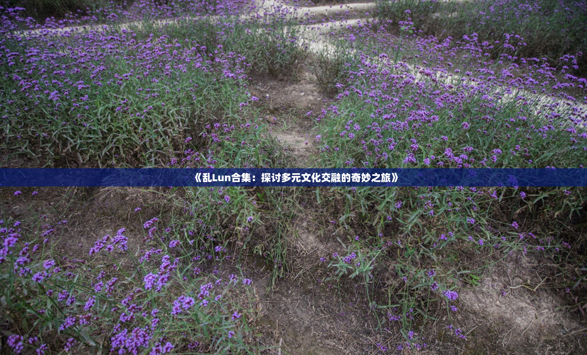 《乱Lun合集：探讨多元文化交融的奇妙之旅》