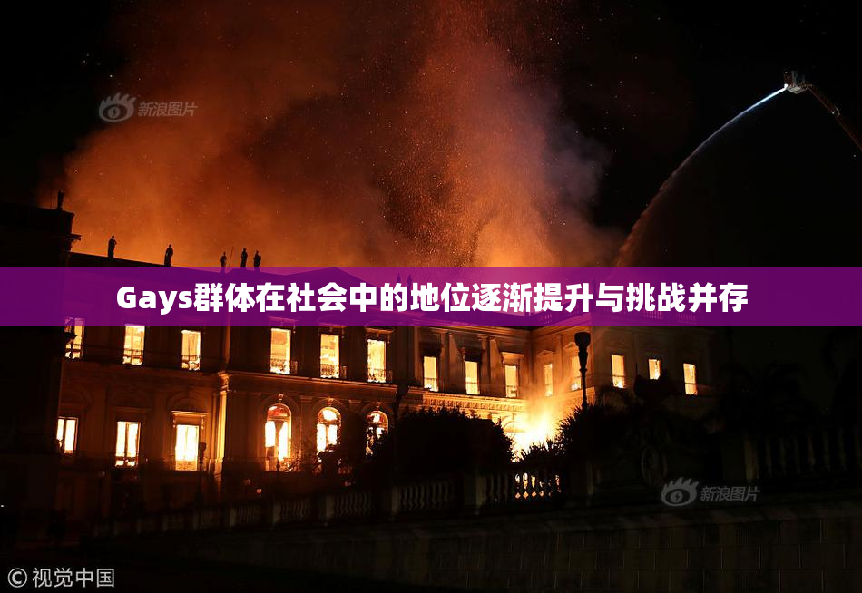 Gays群体在社会中的地位逐渐提升与挑战并存