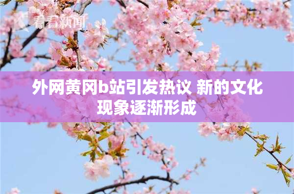 外网黄冈b站引发热议 新的文化现象逐渐形成