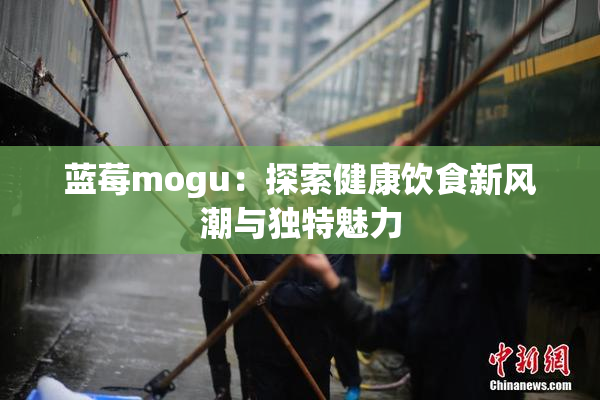 蓝莓mogu：探索健康饮食新风潮与独特魅力