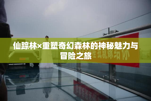 仙踪林×重塑奇幻森林的神秘魅力与冒险之旅