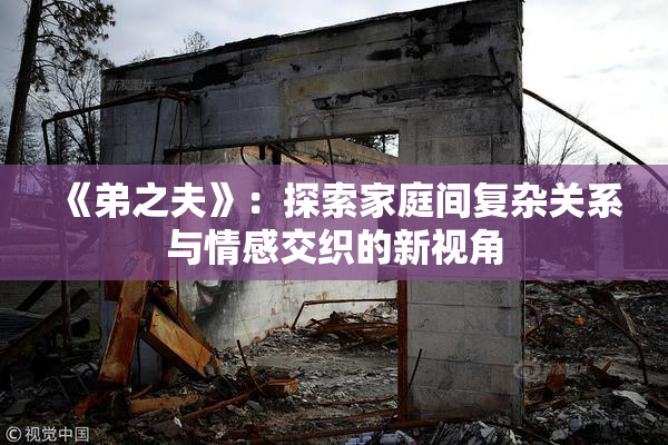 《弟之夫》：探索家庭间复杂关系与情感交织的新视角