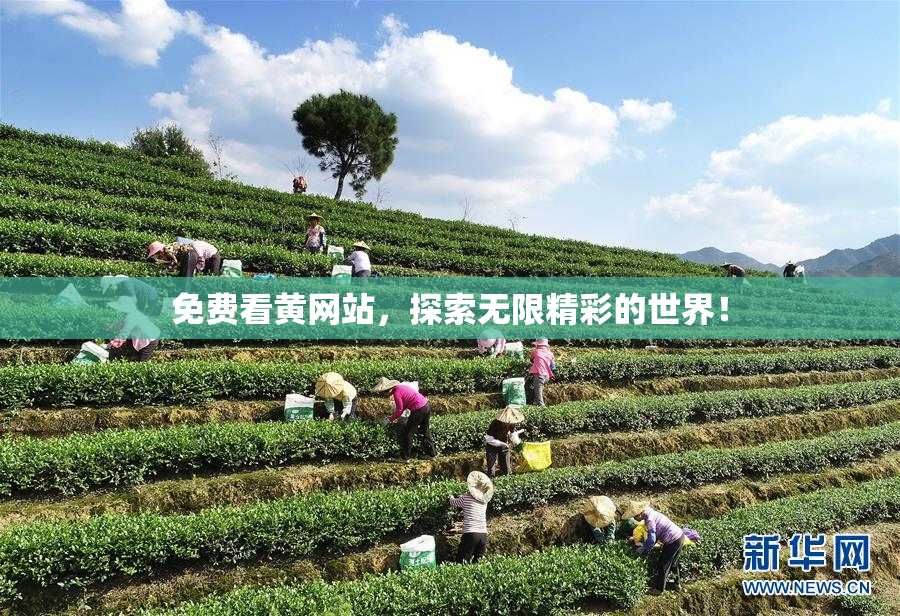 免费看黄网站，探索无限精彩的世界！