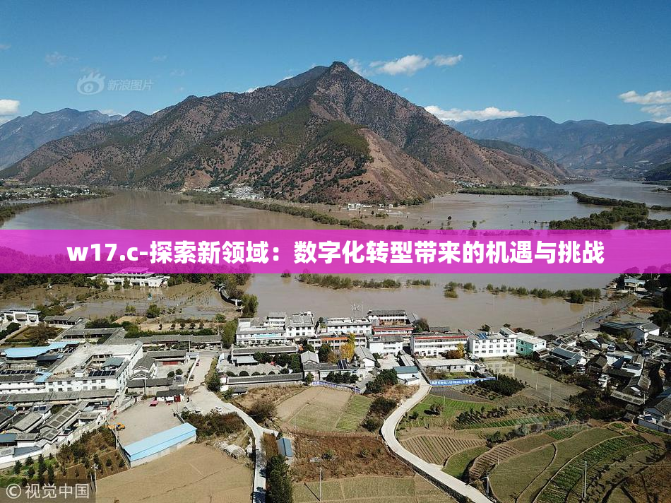 w17.c-探索新领域：数字化转型带来的机遇与挑战