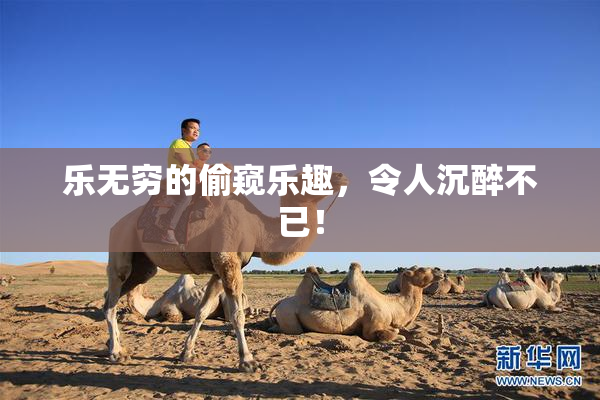 乐无穷的偷窥乐趣，令人沉醉不已！