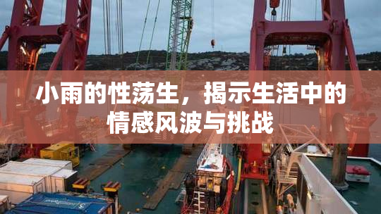 小雨的性荡生，揭示生活中的情感风波与挑战