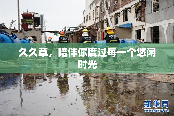 久久草，陪伴你度过每一个悠闲时光