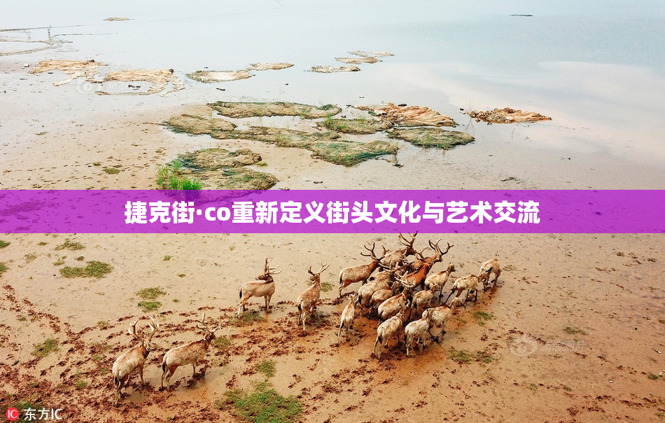 捷克街·co重新定义街头文化与艺术交流