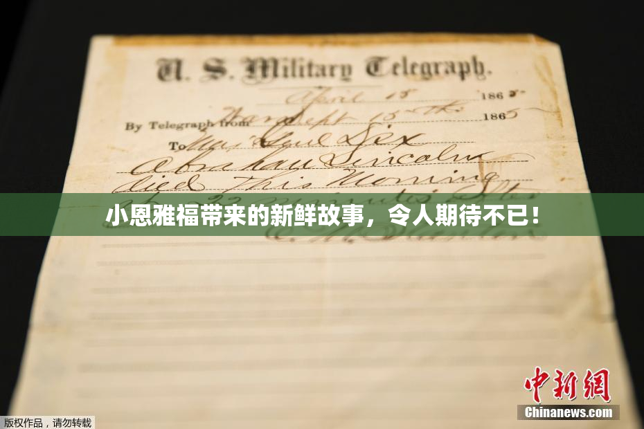 小恩雅福带来的新鲜故事，令人期待不已！