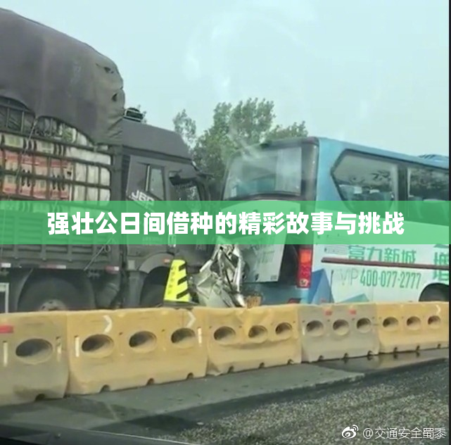 强壮公日间借种的精彩故事与挑战