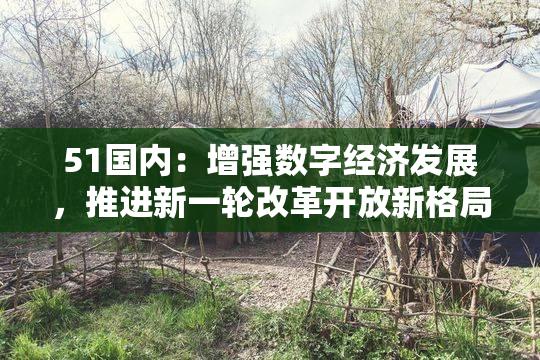 51国内：增强数字经济发展，推进新一轮改革开放新格局