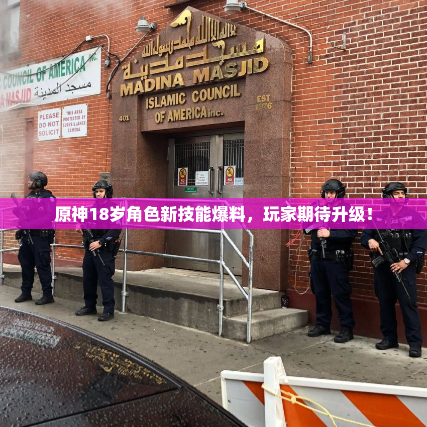 原神18岁角色新技能爆料，玩家期待升级！