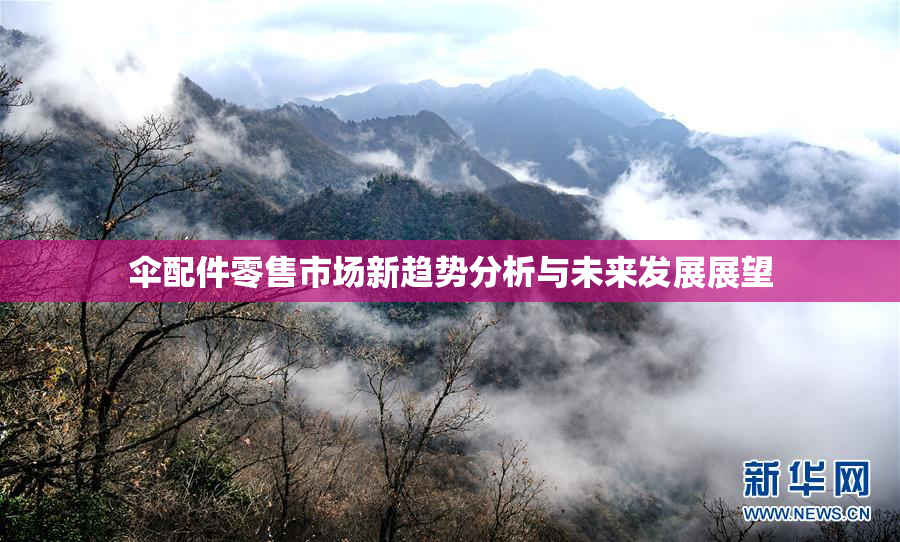 伞配件零售市场新趋势分析与未来发展展望