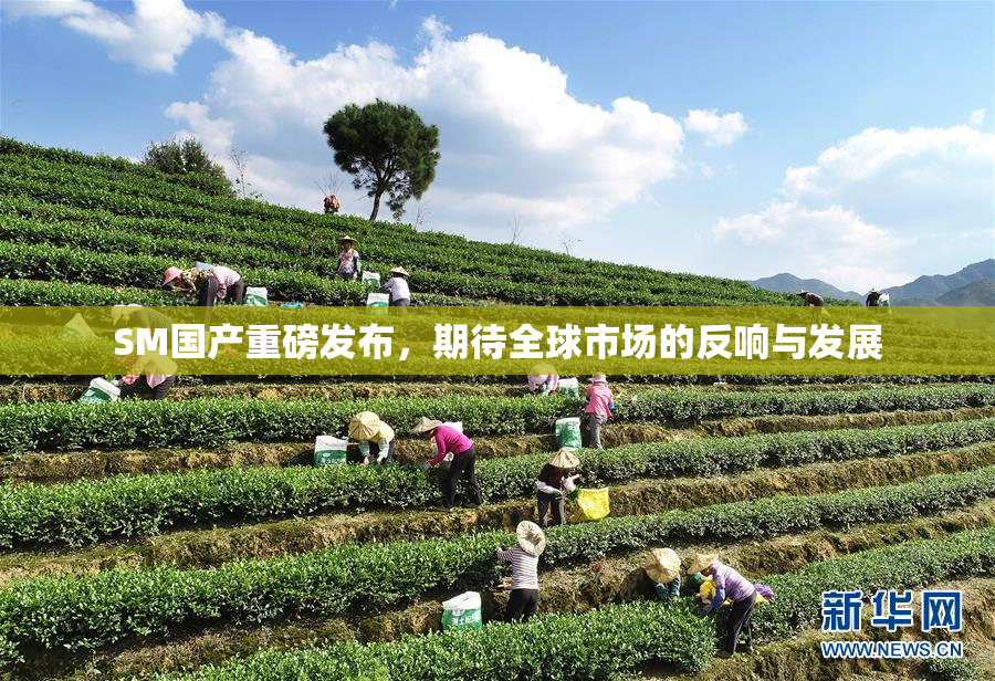 SM国产重磅发布，期待全球市场的反响与发展