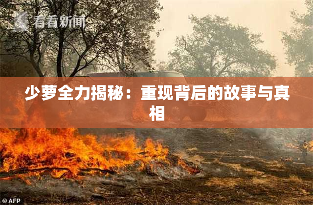 少萝全力揭秘：重现背后的故事与真相