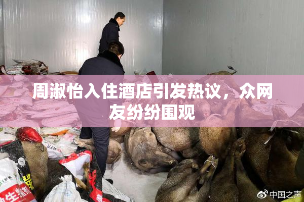 周淑怡入住酒店引发热议，众网友纷纷围观