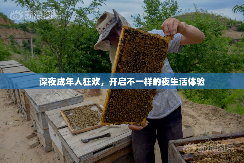 深夜成年人狂欢，开启不一样的夜生活体验