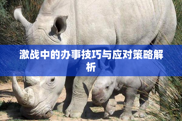 激战中的办事技巧与应对策略解析