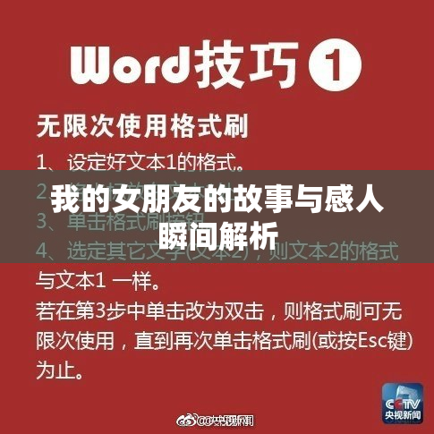 我的女朋友的故事与感人瞬间解析