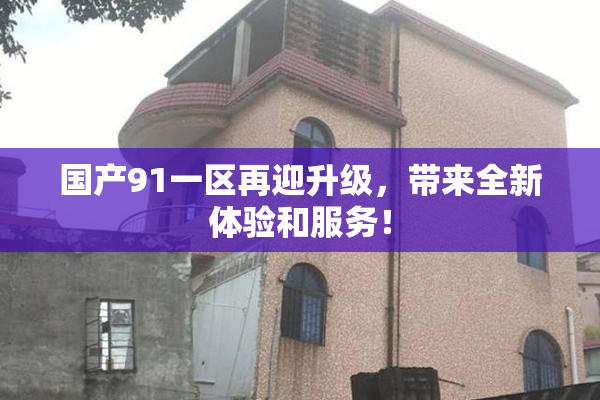 国产91一区再迎升级，带来全新体验和服务！