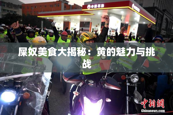 屎奴美食大揭秘：黄的魅力与挑战