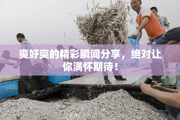 爽好爽的精彩瞬间分享，绝对让你满怀期待！