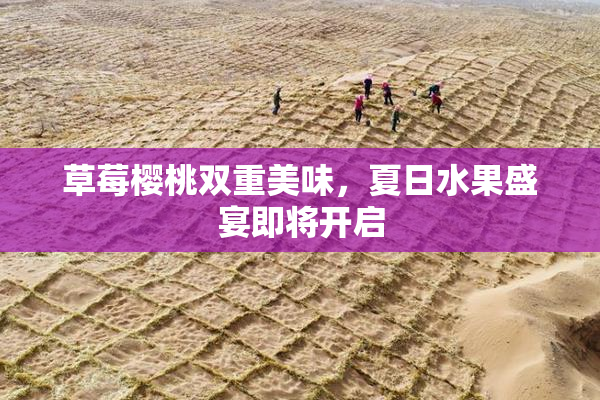 草莓樱桃双重美味，夏日水果盛宴即将开启