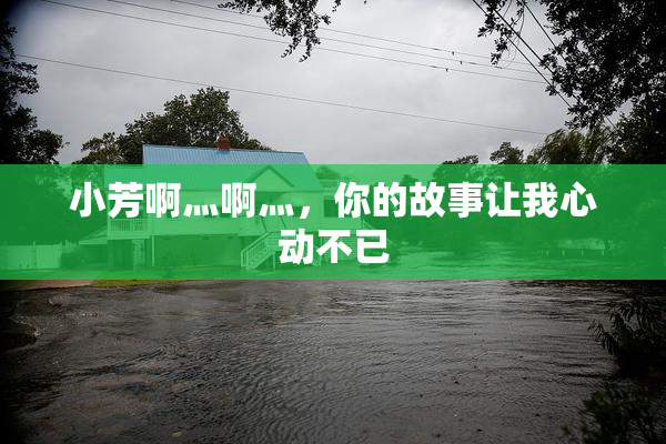 小芳啊灬啊灬，你的故事让我心动不已